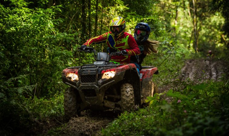 people riding ATV on trails